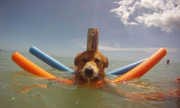 12-simply-awesome-pics-to-help-you-get-through-the-day