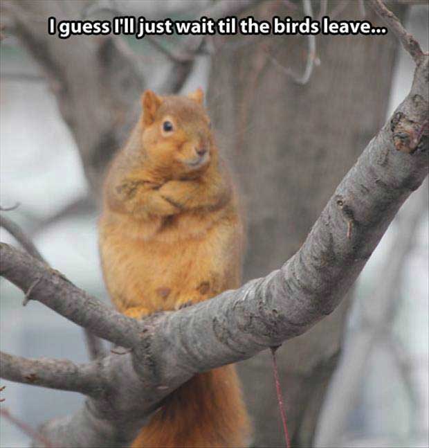 14-these-random-pics-are-a-great-reason-to-smile