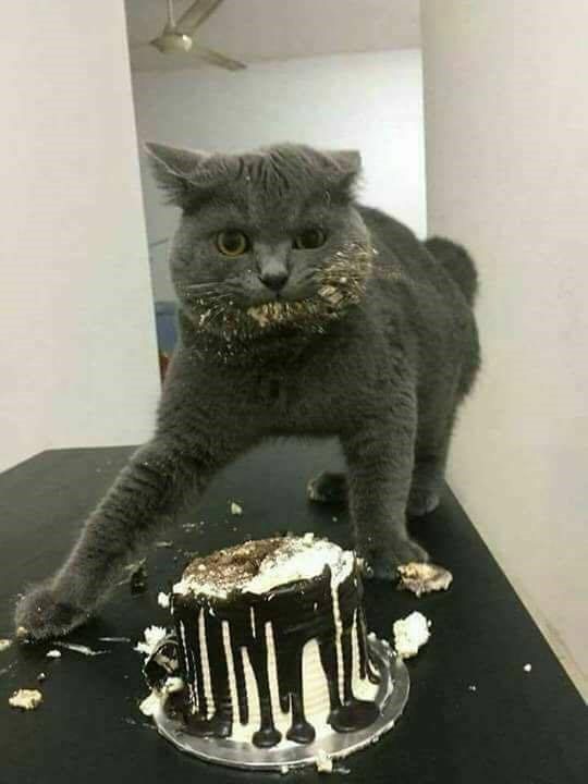 17-these-random-pics-are-a-great-reason-to-smile
