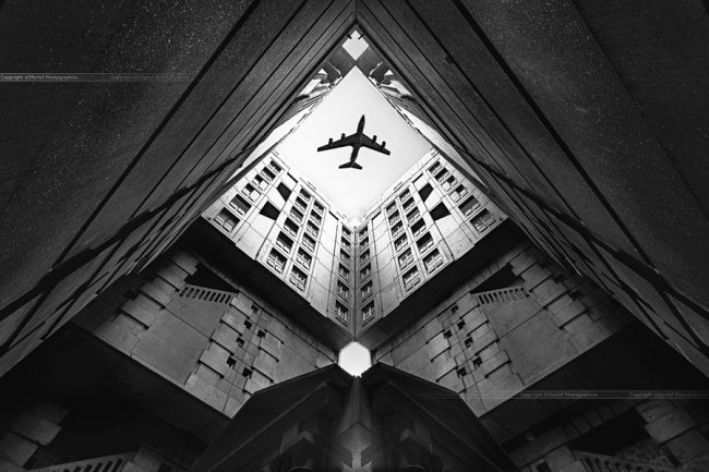 10-incredible-pics-capturing-life-moments-perfectly