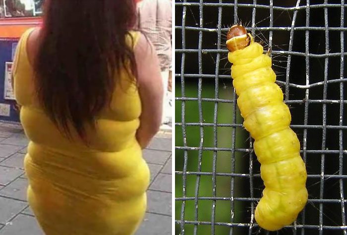10-who-wore-it-better-pics-that-are-simply-hilarious