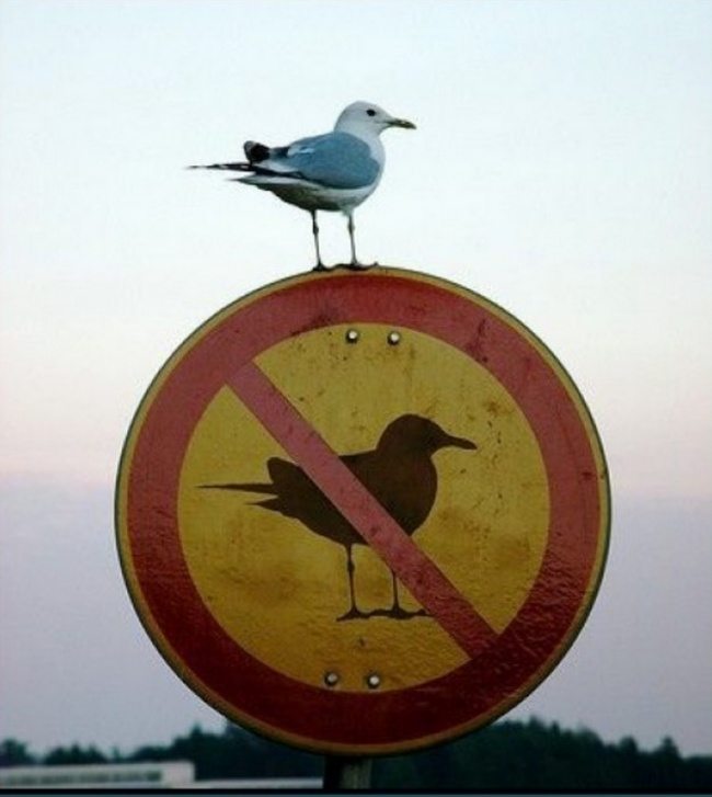 12-incredible-pics-capturing-life-moments-perfectly