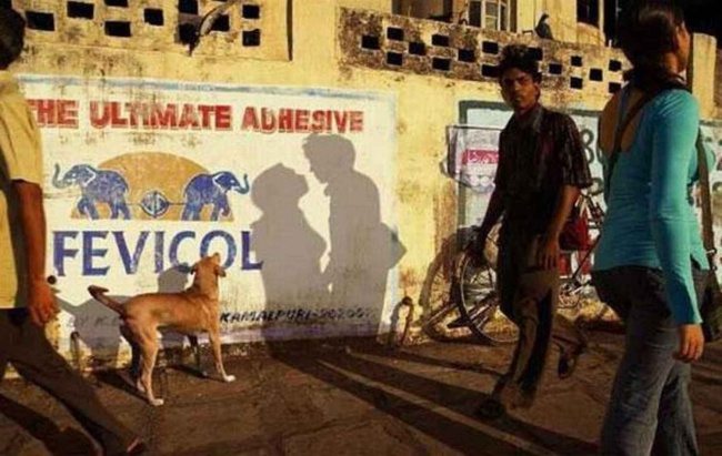 13-incredible-pics-capturing-life-moments-perfectly