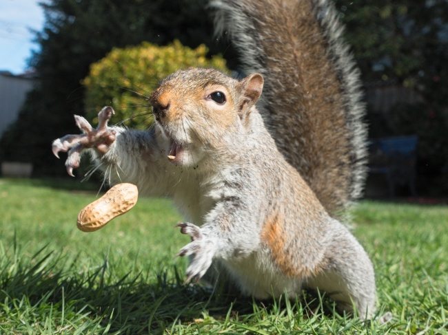 14-incredible-pics-capturing-life-moments-perfectly