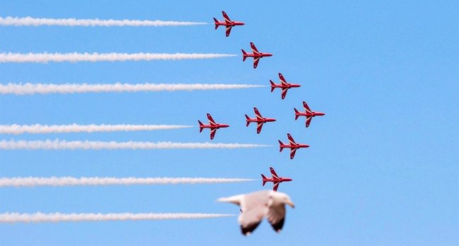 16-incredible-pics-capturing-life-moments-perfectly