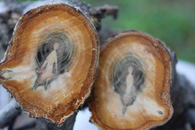 17-randomly-awesome-pics-that-brighten-up-your-day