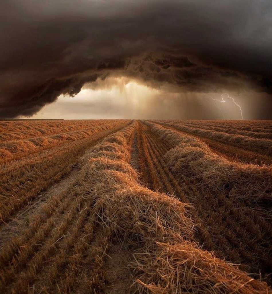 18-nature-perfect-moment-photography