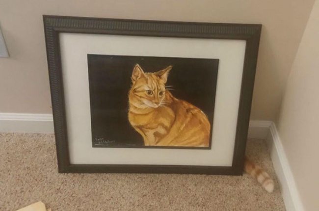 4-incredible-pics-capturing-life-moments-perfectly