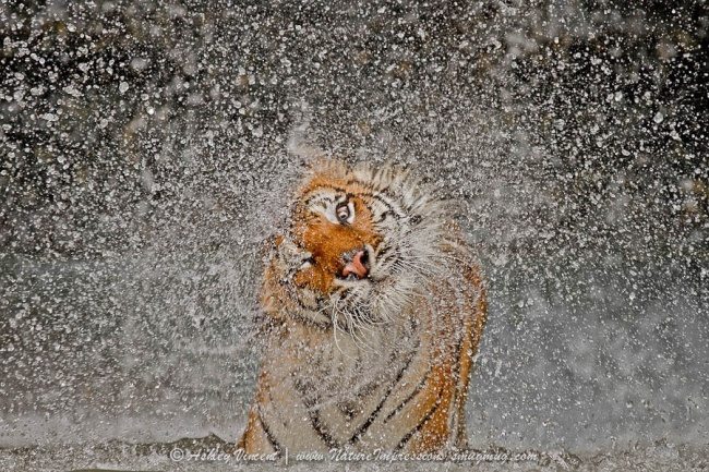 7-incredible-pics-capturing-life-moments-perfectly