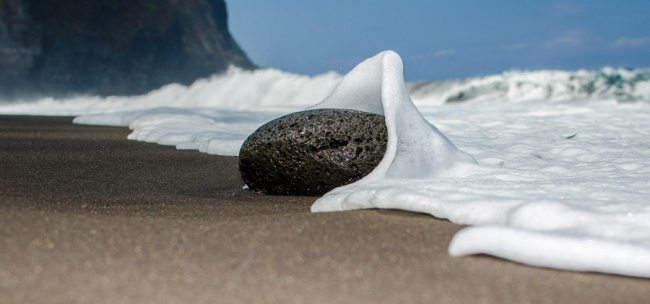 8-incredible-pics-capturing-life-moments-perfectly