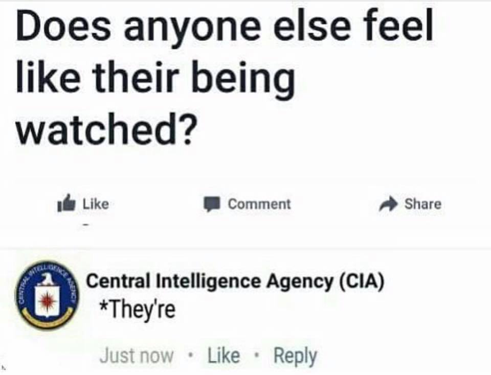 85295969