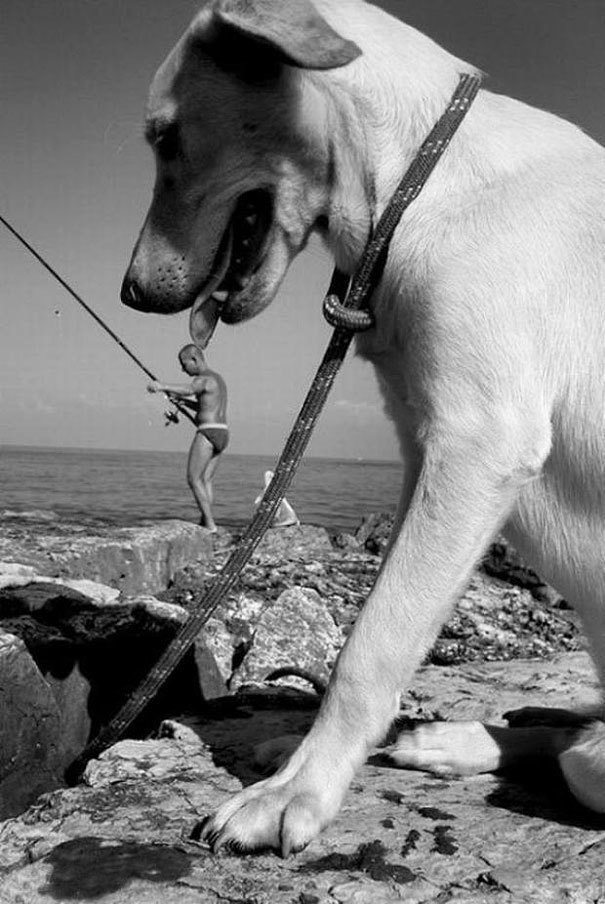 1-photography-geniuses-who-timed-pics-perfectly