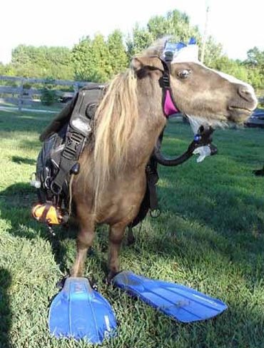 11-weird-photos-showing-how-crazy-world-really-is