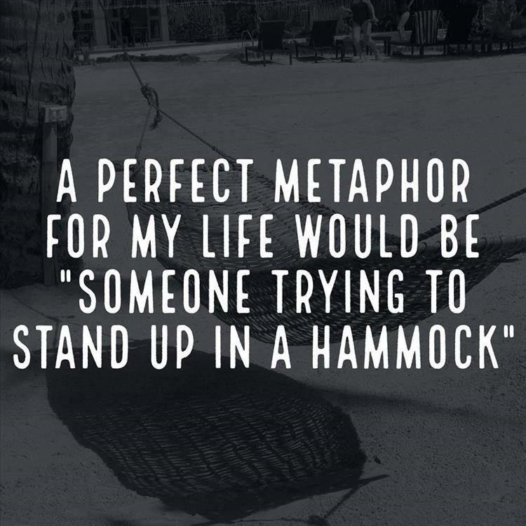 12-great-photos-will-make-your-weekend-awesome