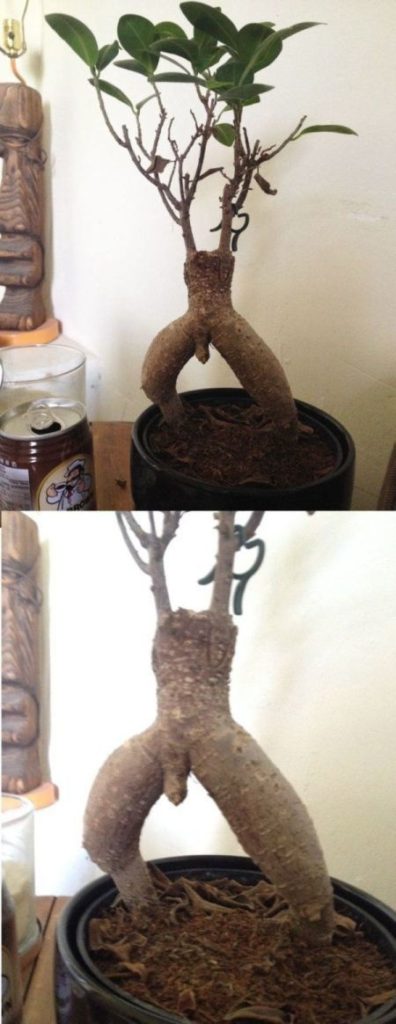 12-innocent-pics-you-will-find-weird-look-twice