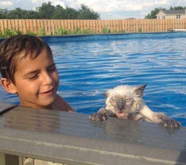 12-random-pics-guaranteed-to-make-you-lol