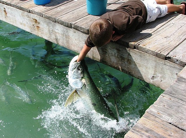 13-fish-child-water-catch