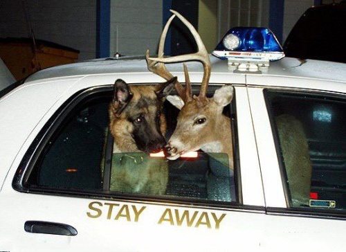 14-weird-photos-showing-how-crazy-world-really-is