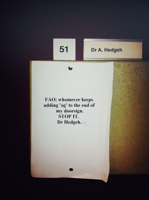 15-random-pics-guaranteed-to-make-you-lol