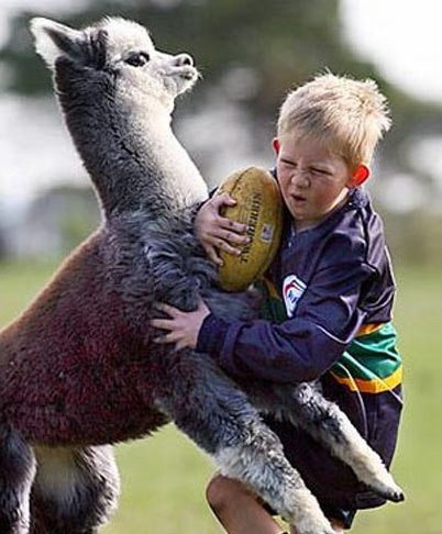 16-weird-photos-showing-how-crazy-world-really-is