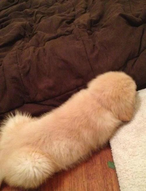 18-innocent-pics-you-will-find-weird-look-twice