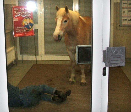 18-weird-photos-showing-how-crazy-world-really-is