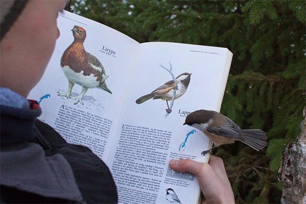 2-moments-when-life-actually-imitated-art