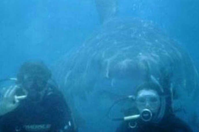2-scary-photobombs-wont-let-you-sleep-tonight-nightmare