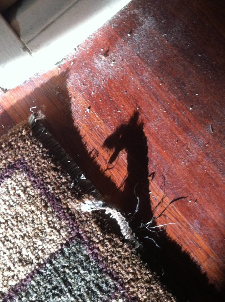 4-shadows-showing-nothing-is-what-it-seems