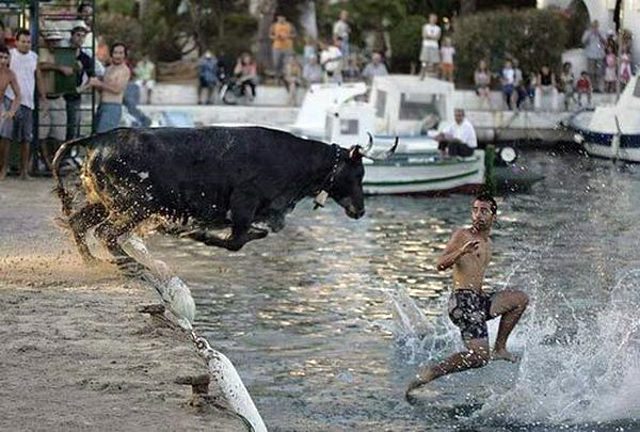6-weird-photos-showing-how-crazy-world-really-is