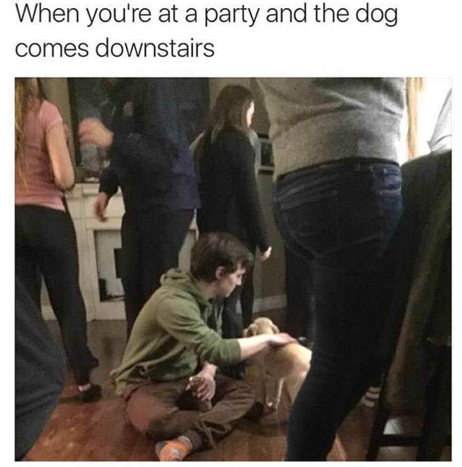 85204828