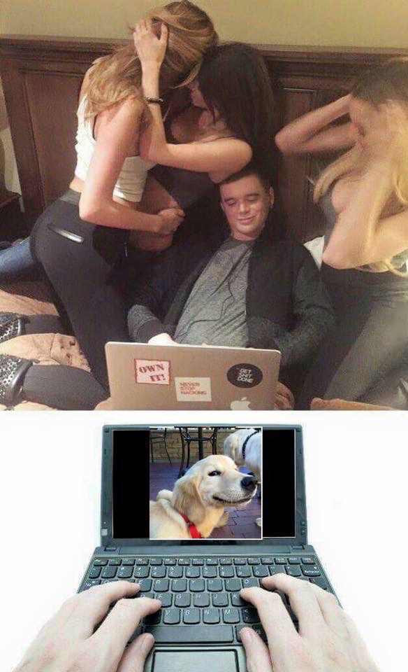 85204846
