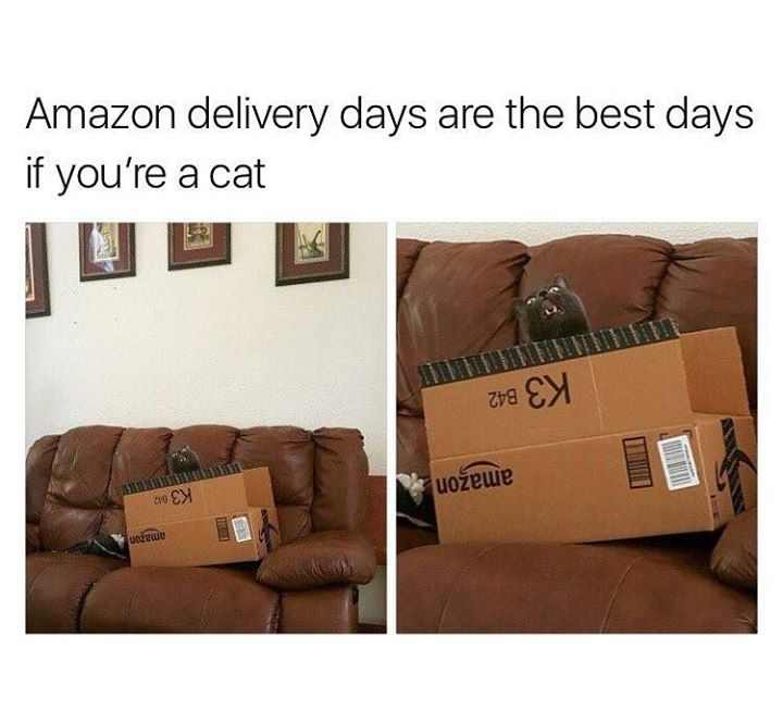 85204847