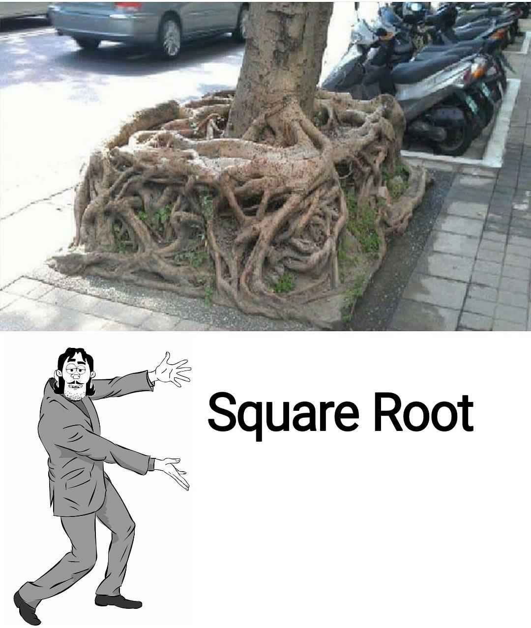 85204849