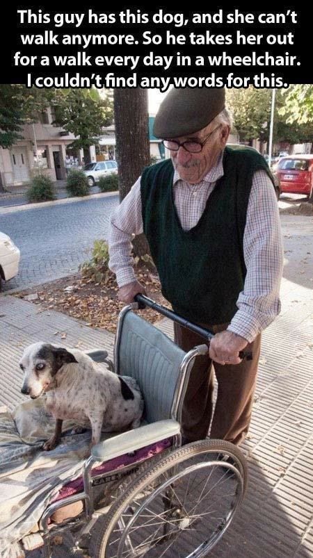 10-hilarious-seniors-who-just-dont-care