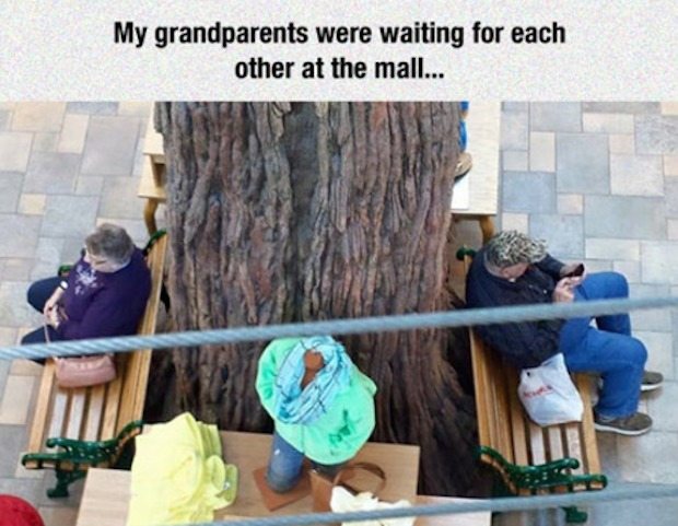 13-hilarious-seniors-who-just-dont-care