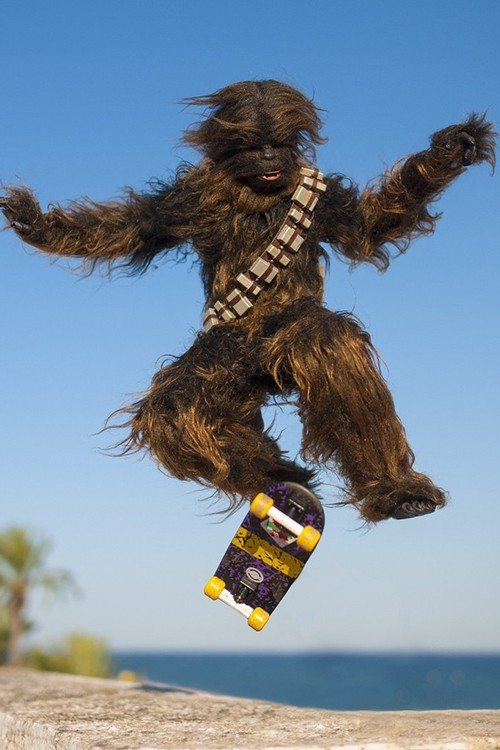 13-photos-week-better-awesome-hilarious-random-internet