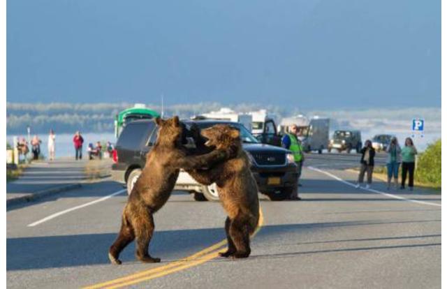 2-hilarious-photo-sums-up-us-states