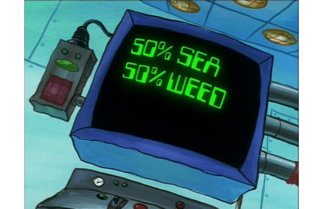 5-hilarious-photo-sums-up-us-states
