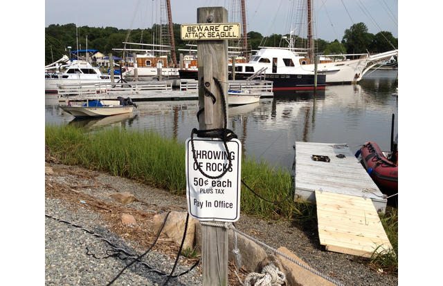 7-hilarious-photo-sums-up-us-states