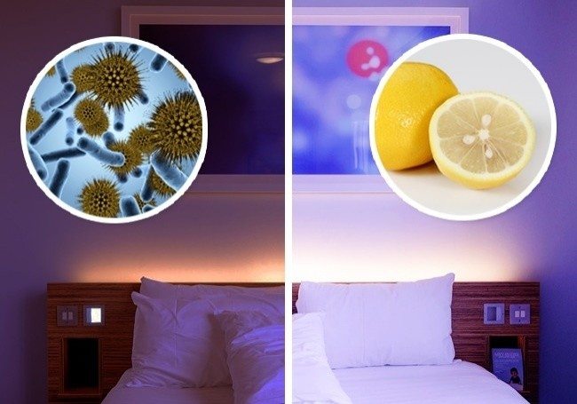 lemon-next-to-your-bed-4