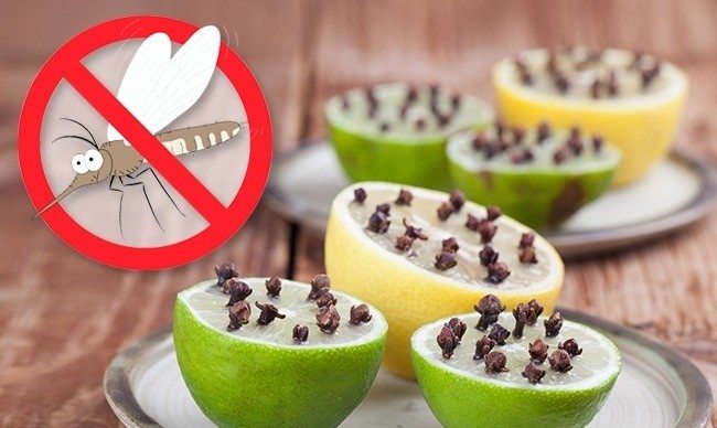 lemon-next-to-your-bed-6