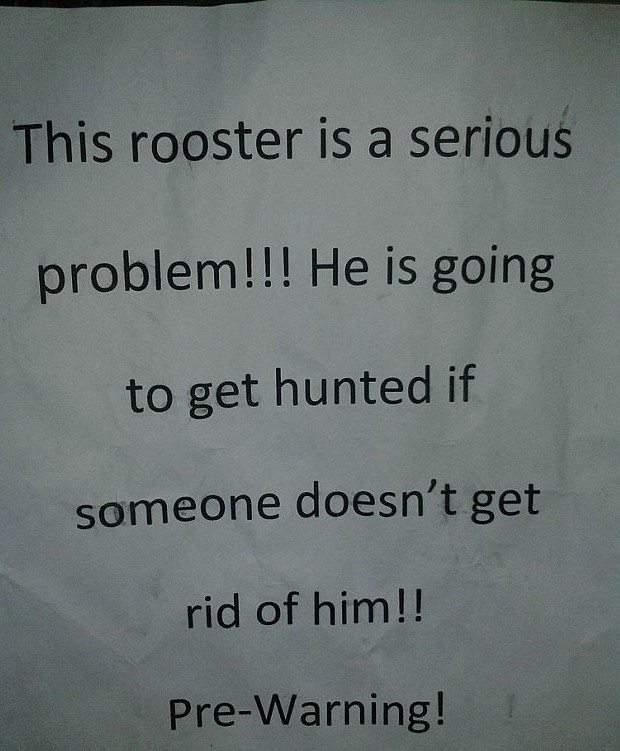 signs-for-neighbors-5