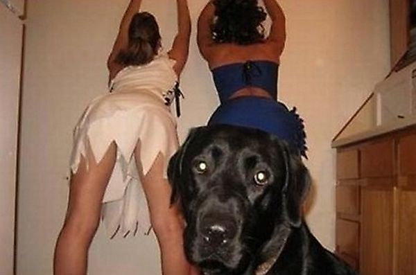 1-beautiful-girls-getting-photobombed-hilariously