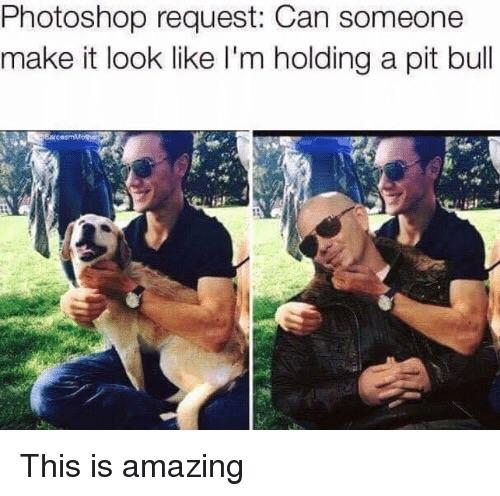 11-great-photos-improve-your-mood