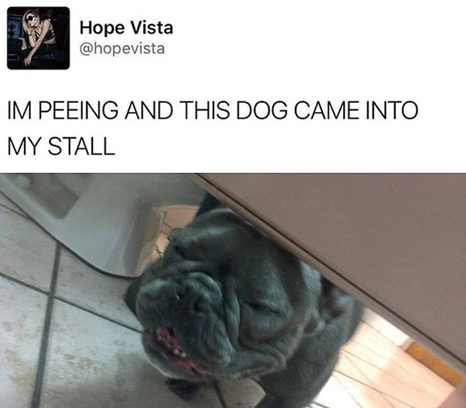 11-random-pics-make-you-laugh-all-day
