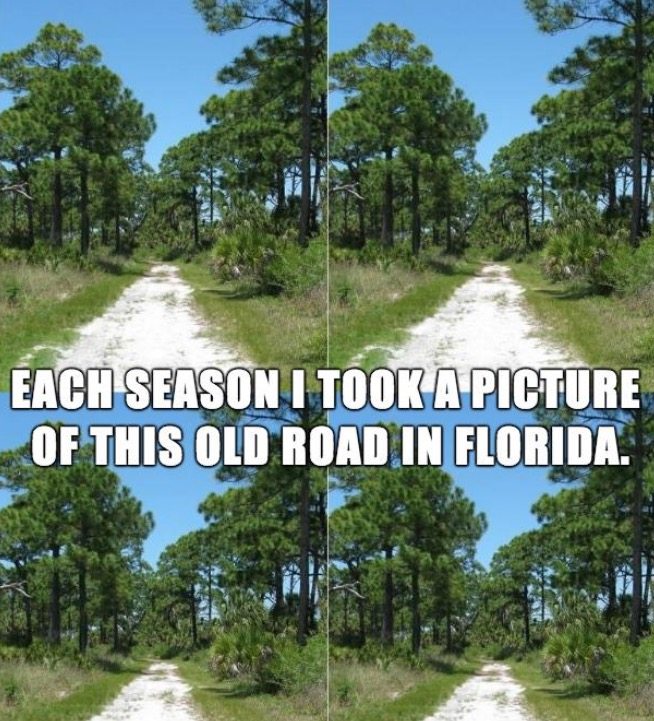 12-memes-photos-funny-laugh-hilarious