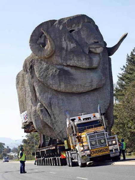13-pics-crazy-world-we-live-in