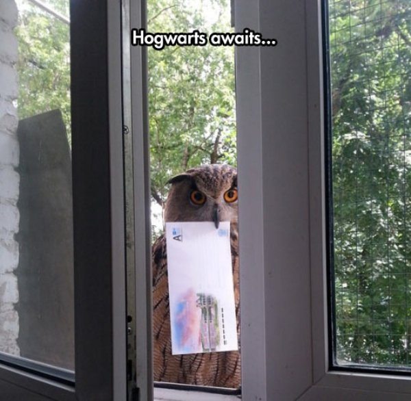15-memes-photos-funny-laugh-hilarious