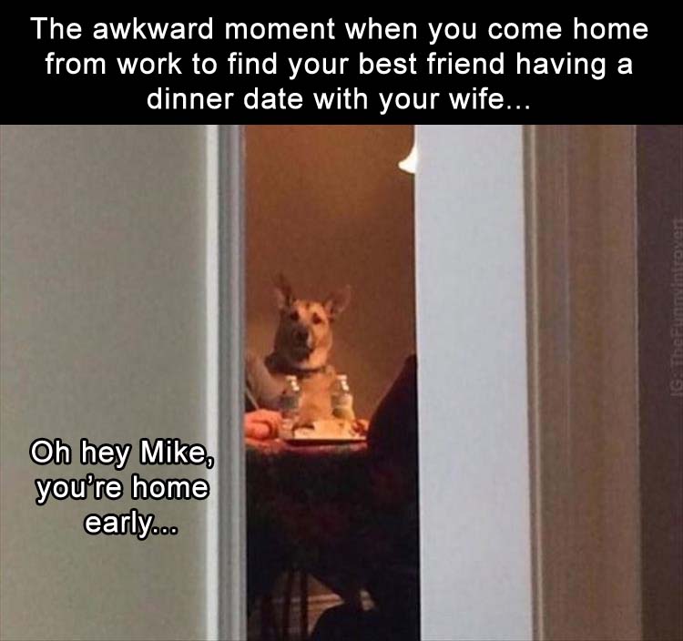 16-memes-photos-funny-laugh-hilarious